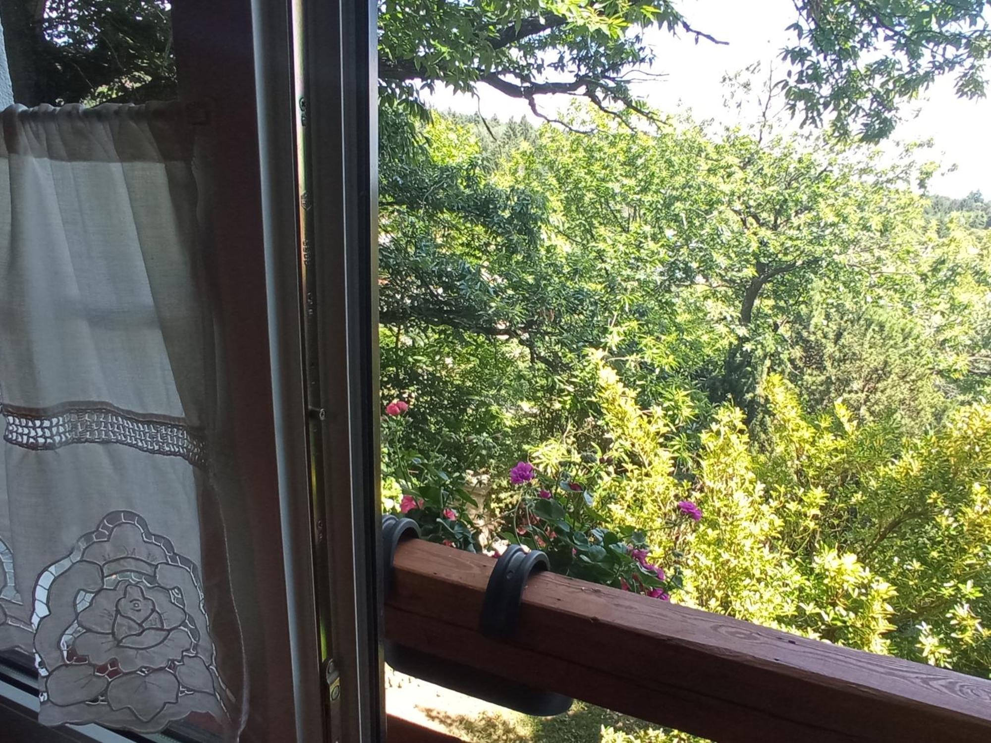 Pele Vendeghaz Villa Velem Dış mekan fotoğraf